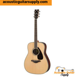 Acoustic Guitars